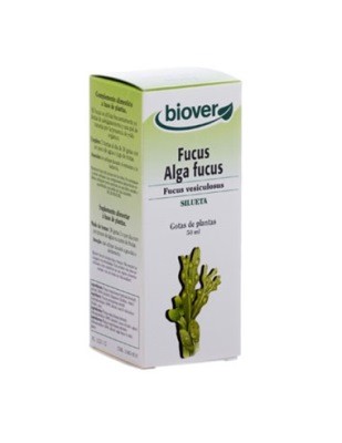 TINTURA FUCUS 50ml-BIOVER