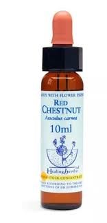 BACH RED CHESNUT/ CASTAÑO ROJO BIO 10ml-HEALING HERBS
