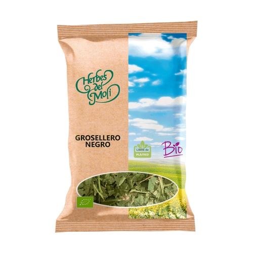 GROSELLERO NEGRO HOJAS ECO 40gr-HERBES