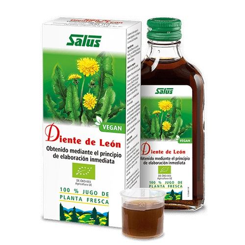 JUGO DIENTE DE LEON BIO 200ml