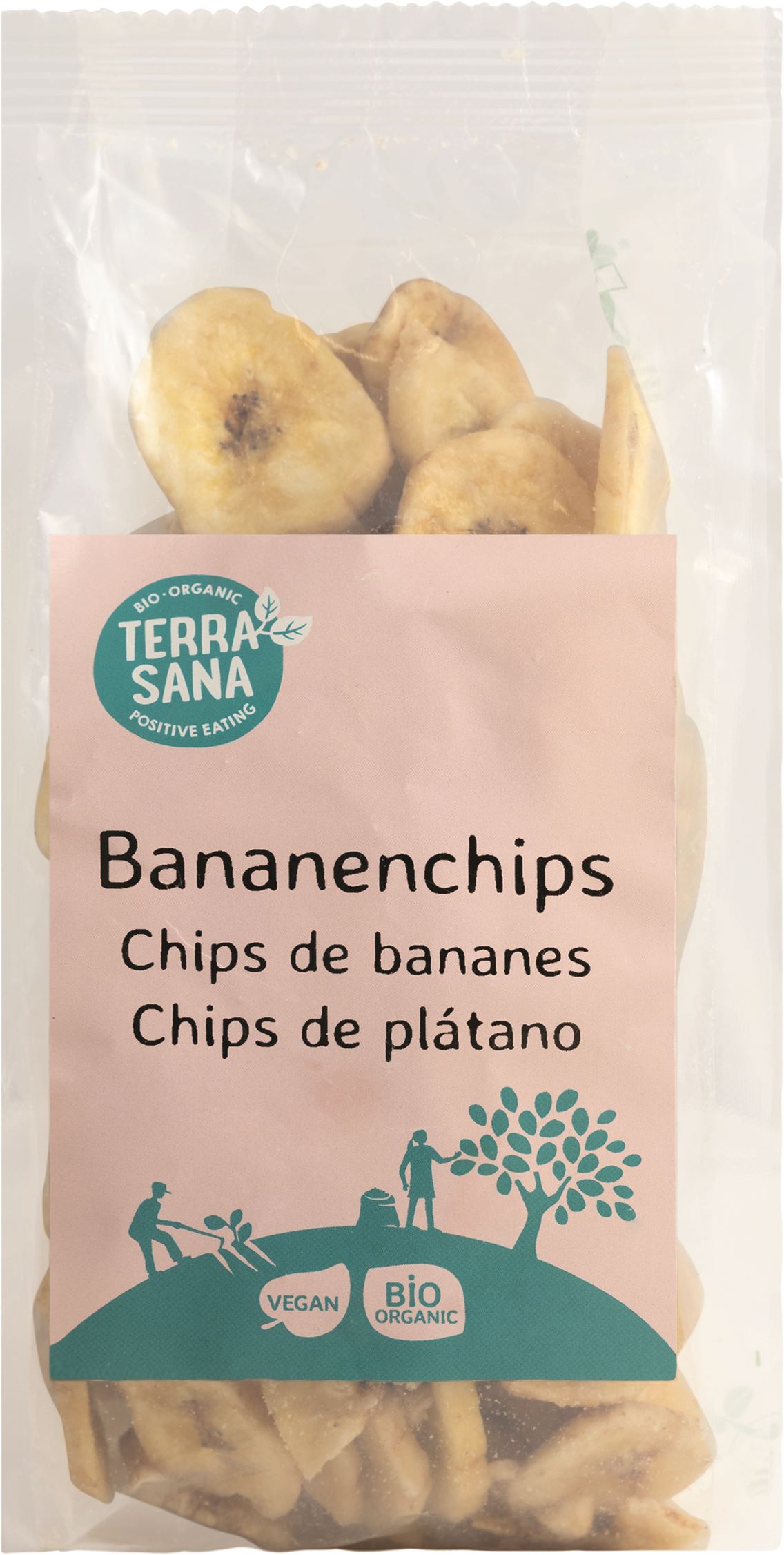 CHIPS PLÁTANO BIO 200gr -TERRASANA