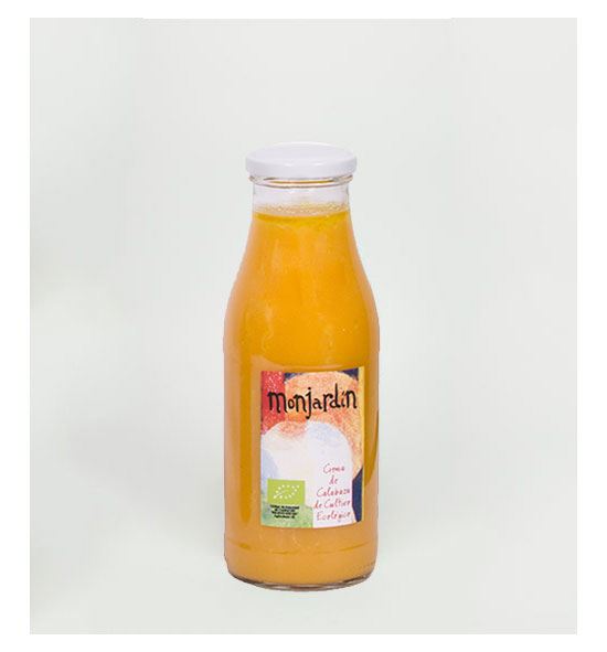 CREMA CALABAZA ECO BOTELLA 500ml-MONJARDIN