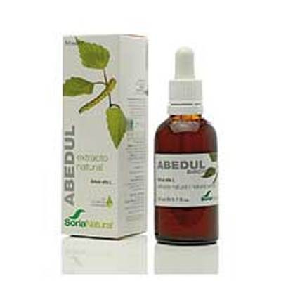 EXTRACTO ABEDUL 50 cc-SORIA NATURAL