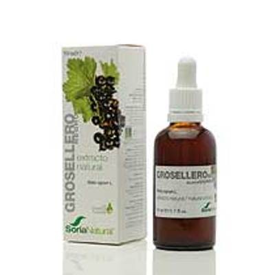 EXTRACTO GROSELLERO NEGRO 50 cc-SORIA NATURAL