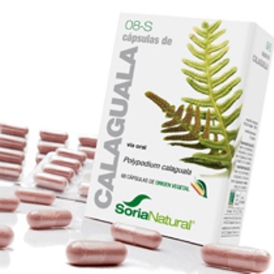 CAP. 8-S CALAGUALA 60 caps. 310 mg