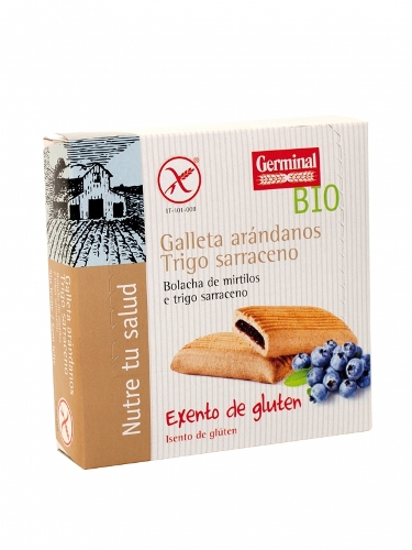 GALLETAS ARÁNDANOS TRIGO SARRACENO S/G BIO 200gr (U/C10)-GERMINAL 